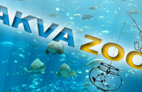 Akvazoo - aquariumistics and zoology products